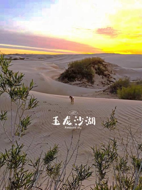 玉龙沙湖露营过夜地点推荐？玉龙沙湖钓鱼收费吗