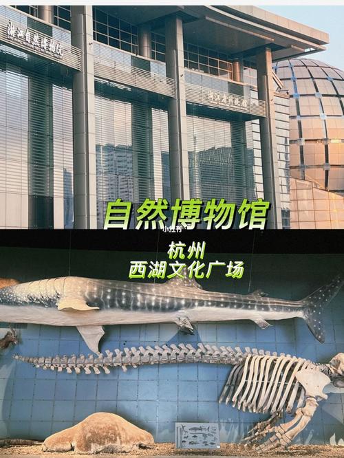 杭州自然博物馆门票是多少?浙江省自然博物馆收费-图3 杭州自然博物馆门票是多少?浙江省自然博物馆收费-图3