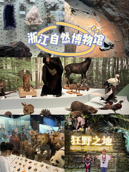 杭州自然博物馆门票是多少?浙江省自然博物馆收费-图2 杭州自然博物馆门票是多少?浙江省自然博物馆收费-图2