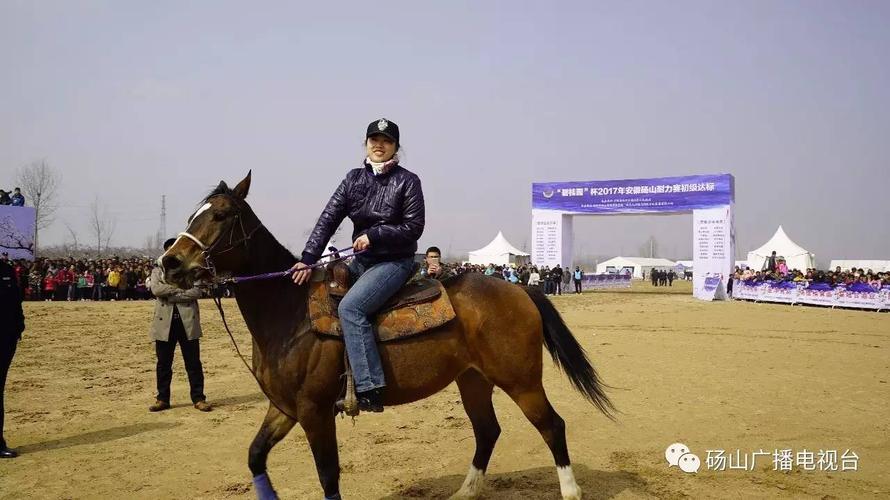 中国有什么地方能骑马?安徽骑马收费怎么收的-图2 中国有什么地方能骑马?安徽骑马收费怎么收的-图2