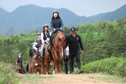 中国有什么地方能骑马?安徽骑马收费怎么收的-图3 中国有什么地方能骑马?安徽骑马收费怎么收的-图3