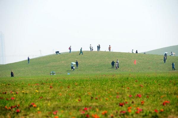 请巢湖哪些地方适合小朋友游玩？岸上草原收费