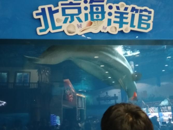 北京海洋馆一天是可以随便进出吗?北京海洋馆表演收费吗-图2 北京海洋馆一天是可以随便进出吗?北京海洋馆表演收费吗-图2