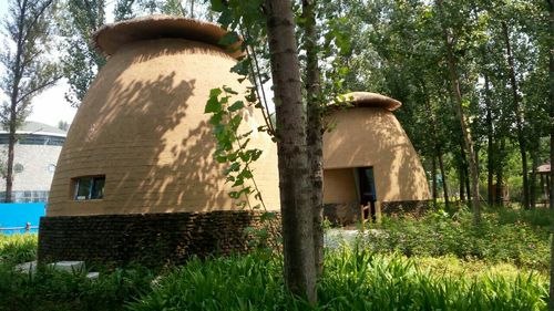 山东适合4月份旅游的景点有哪些?滨州西纸坊收费吗-图3 山东适合4月份旅游的景点有哪些?滨州西纸坊收费吗-图3