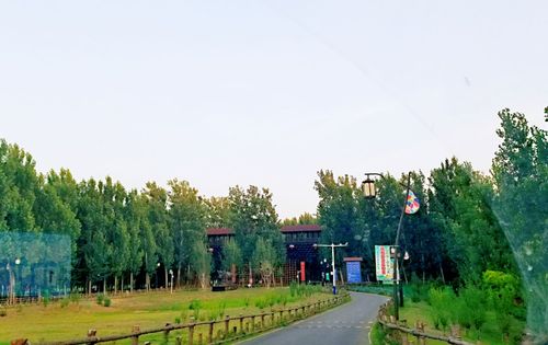 山东适合4月份旅游的景点有哪些?滨州西纸坊收费吗-图2 山东适合4月份旅游的景点有哪些?滨州西纸坊收费吗-图2