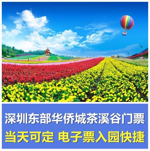 在深圳东部华侨城的入口买了门票，到了大峡谷和茶溪谷要另买吗？入口门票多少钱？茶溪谷需要收费的