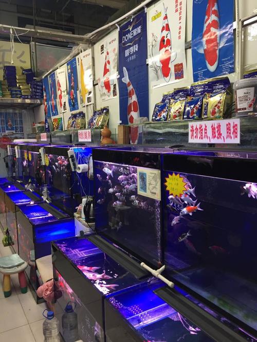 长春花鸟鱼市场哪个好?长春哪里停车不收费-图2 长春花鸟鱼市场哪个好?长春哪里停车不收费-图2