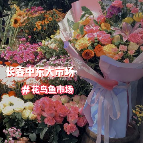 长春花鸟鱼市场哪个好?长春哪里停车不收费-图3 长春花鸟鱼市场哪个好?长春哪里停车不收费-图3