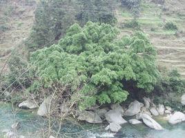 0235是哪国家区号?从江北收费站电话-图3 0235是哪国家区号?从江北收费站电话-图3