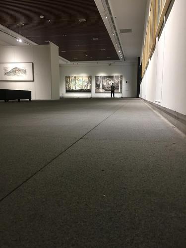 浐灞自驾游必去十大景点?崔振宽美术馆收费吗-图2 浐灞自驾游必去十大景点?崔振宽美术馆收费吗-图2