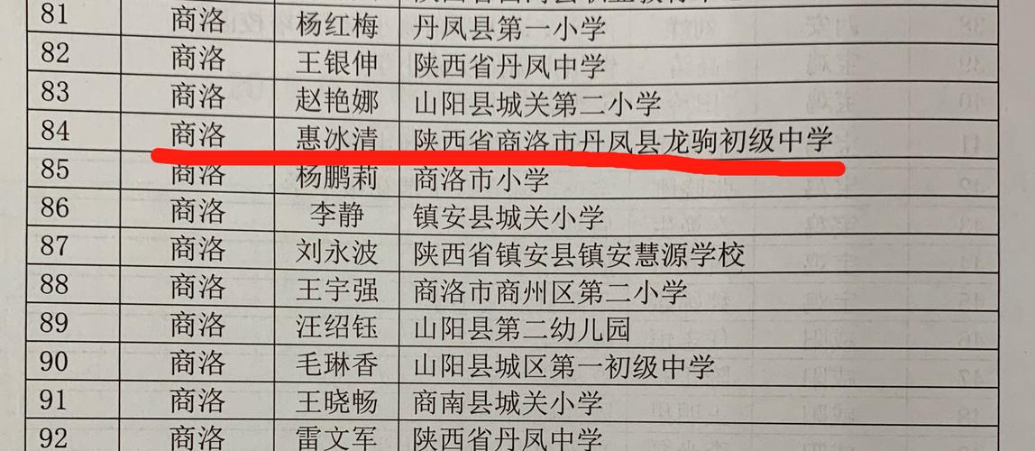 凤的词语哈?关于丹凤县龙驹收费站-图3 凤的词语哈?关于丹凤县龙驹收费站-图3