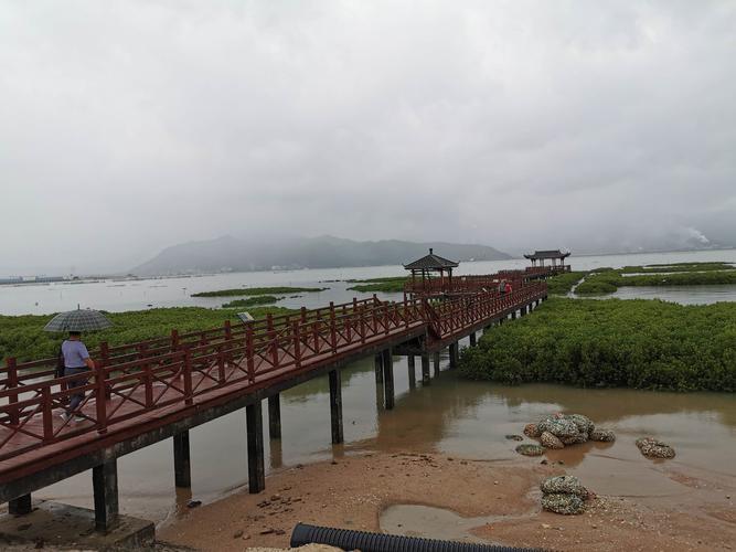 红树林海滨公园停车场怎么收费?红树林收费吗-图2 红树林海滨公园停车场怎么收费?红树林收费吗-图2