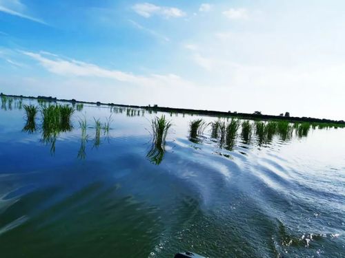 潜江有哪些旅游景点?洪湖云雾湖怎么收费-图2 潜江有哪些旅游景点?洪湖云雾湖怎么收费-图2