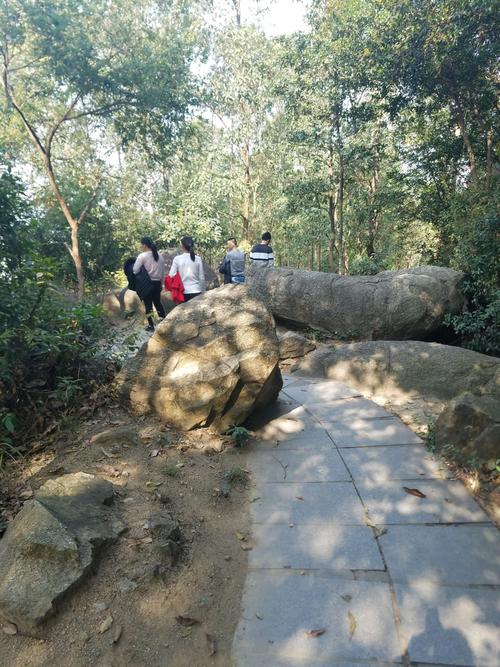 深圳市凤凰山公园开放了吗?洪田火山公园收费吗-图2 深圳市凤凰山公园开放了吗?洪田火山公园收费吗-图2