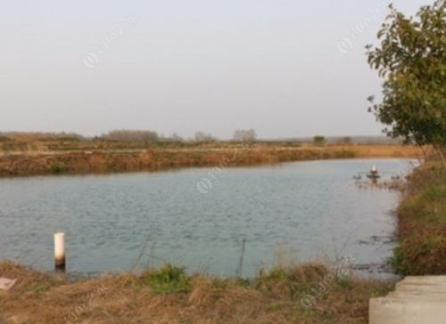 在旅游景点附近做什么养殖种植能赚钱？淮南收费钓场-图2