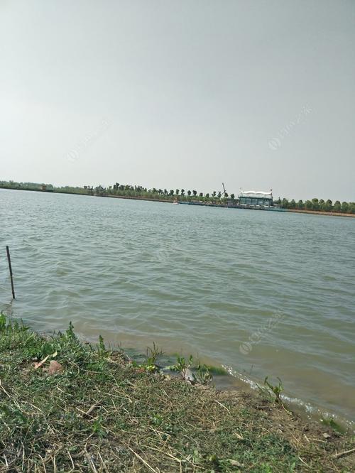 淮南有没有好的钓鱼地点?淮南收费钓鱼的地方-图3 淮南有没有好的钓鱼地点?淮南收费钓鱼的地方-图3