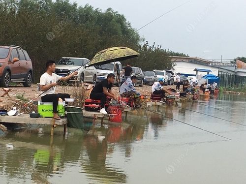 淮南有没有好的钓鱼地点?淮南收费钓鱼的地方-图2 淮南有没有好的钓鱼地点?淮南收费钓鱼的地方-图2