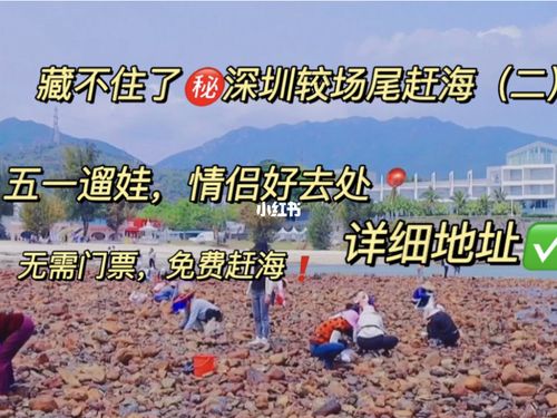 深圳赶海最佳地点排行榜？较场尾沙滩收费吗