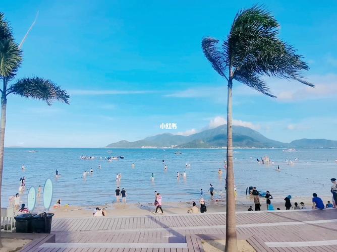 深圳赶海最佳地点排行榜?较场尾沙滩收费吗-图3 深圳赶海最佳地点排行榜?较场尾沙滩收费吗-图3