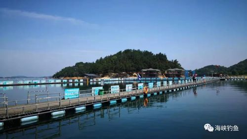 庐山西海瑶池湾国际垂钓中心票价?庐山收费-图3 庐山西海瑶池湾国际垂钓中心票价?庐山收费-图3
