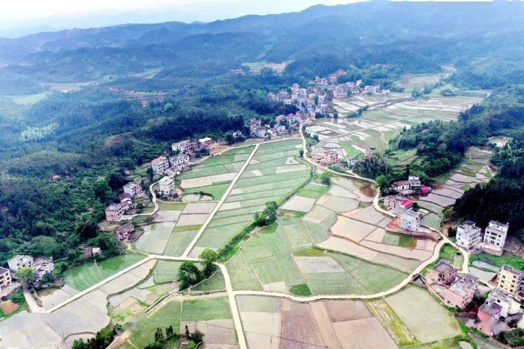 请问南康市区到隆木有多少公里?南康高速路口收费站-图1 请问南康市区到隆木有多少公里?南康高速路口收费站-图1