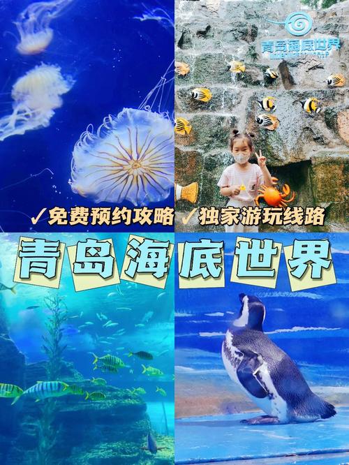 青岛海底世界现场买票便宜吗?青岛海底世界停车收费-图2 青岛海底世界现场买票便宜吗?青岛海底世界停车收费-图2