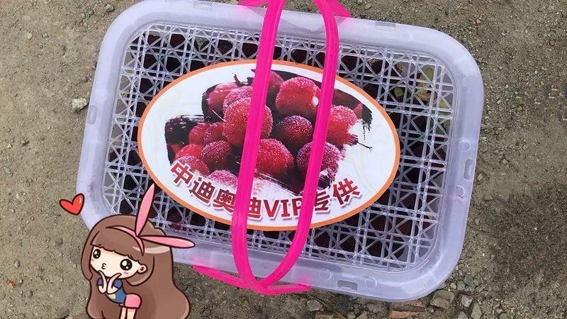 草莓是绿通吗?收费站杨梅大丰收-图3 草莓是绿通吗?收费站杨梅大丰收-图3