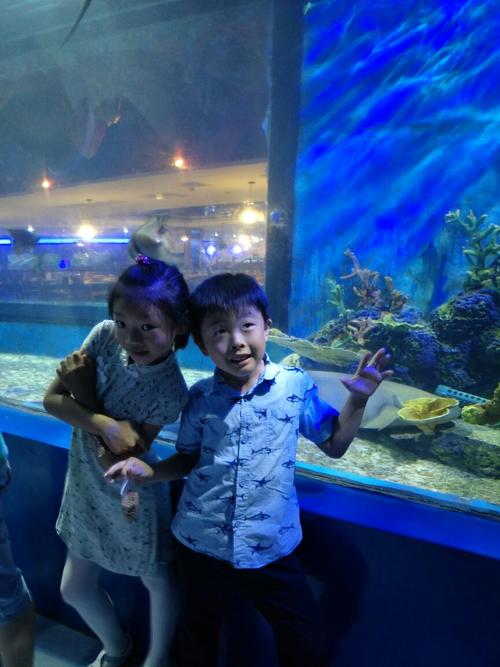 苏州乐园森林世界有海洋馆嘛?苏州海洋馆儿童收费吗-图2 苏州乐园森林世界有海洋馆嘛?苏州海洋馆儿童收费吗-图2
