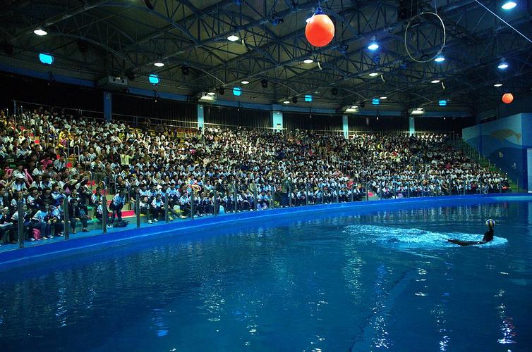 苏州海洋馆有海豚表演吗?苏州海洋馆怎么收费-图2 苏州海洋馆有海豚表演吗?苏州海洋馆怎么收费-图2