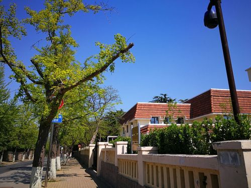 八大关景区哪里停车最方便?太平角公园 停车收费吗-图1 八大关景区哪里停车最方便?太平角公园 停车收费吗-图1