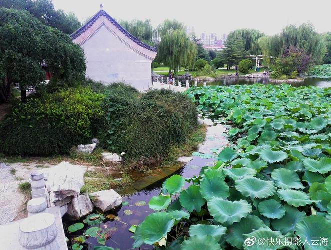 潍坊市自怡园什么时|间开放?潍坊自怡园收费吗-图3 潍坊市自怡园什么时|间开放?潍坊自怡园收费吗-图3