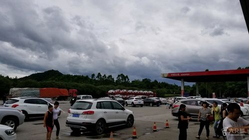 大广高速复线信丰西服务区好小？信丰县停车收费