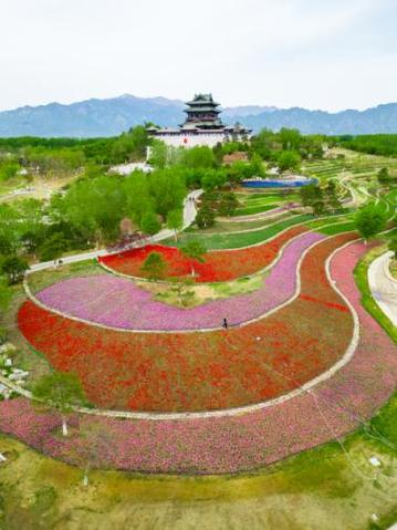 世园公园 海拔?延庆四海花田收费吗-图3 世园公园 海拔?延庆四海花田收费吗-图3