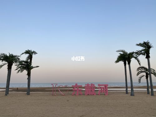 东戴河和北戴河哪个沙滩好?银泰海滩收费-图2 东戴河和北戴河哪个沙滩好?银泰海滩收费-图2
