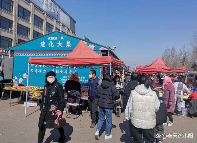 沈阳造化大集是哪天？造化大集收费