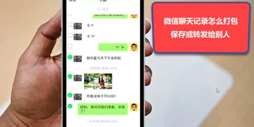 微信聊天里的第一句话,如何和他打招呼?浪迹教育如何收费-图3 微信聊天里的第一句话,如何和他打招呼?浪迹教育如何收费-图3