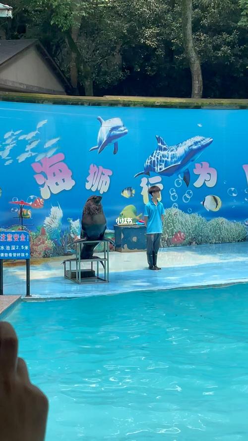 漳州市动物园海狮表演是几点?漳州动物园表演收费吗-图2 漳州市动物园海狮表演是几点?漳州动物园表演收费吗-图2