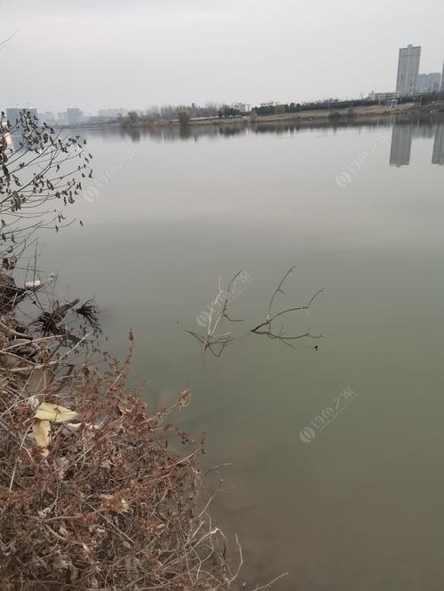 六安南湖湿地公园可以钓鱼吗?六安收费钓鱼-图2 六安南湖湿地公园可以钓鱼吗?六安收费钓鱼-图2
