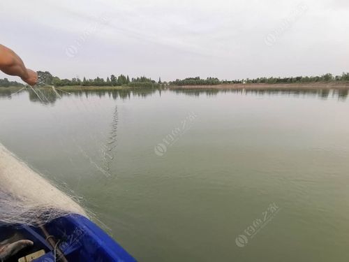 六安南湖湿地公园可以钓鱼吗?六安收费钓鱼-图3 六安南湖湿地公园可以钓鱼吗?六安收费钓鱼-图3