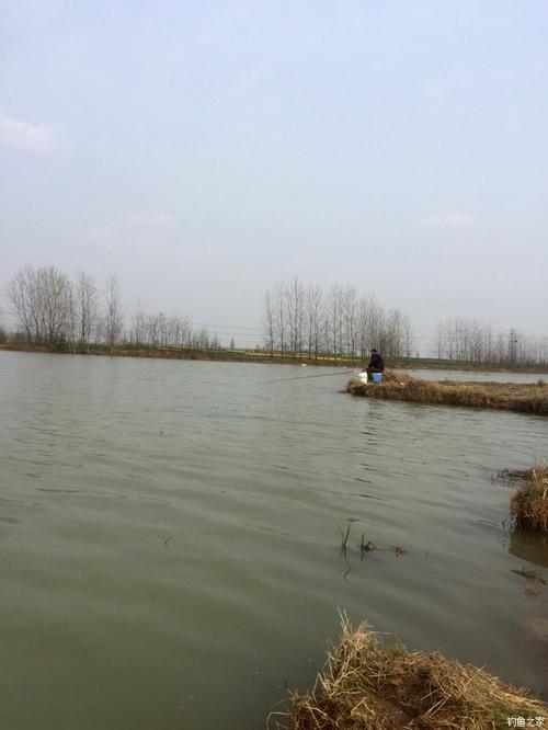 津南必去十大景点?寿县收费钓鱼的地方-图2 津南必去十大景点?寿县收费钓鱼的地方-图2