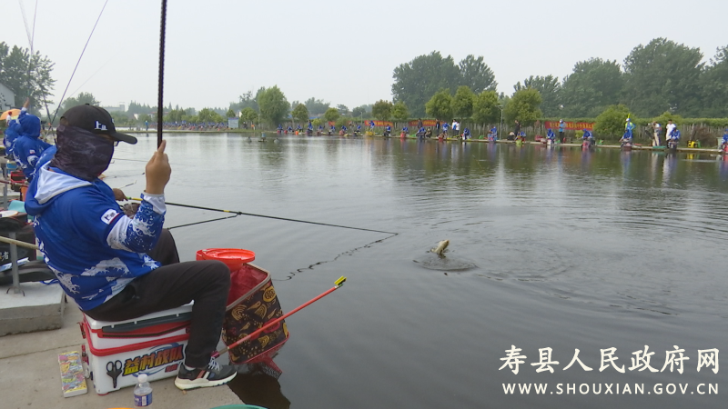 津南必去十大景点?寿县收费钓鱼的地方-图3 津南必去十大景点?寿县收费钓鱼的地方-图3