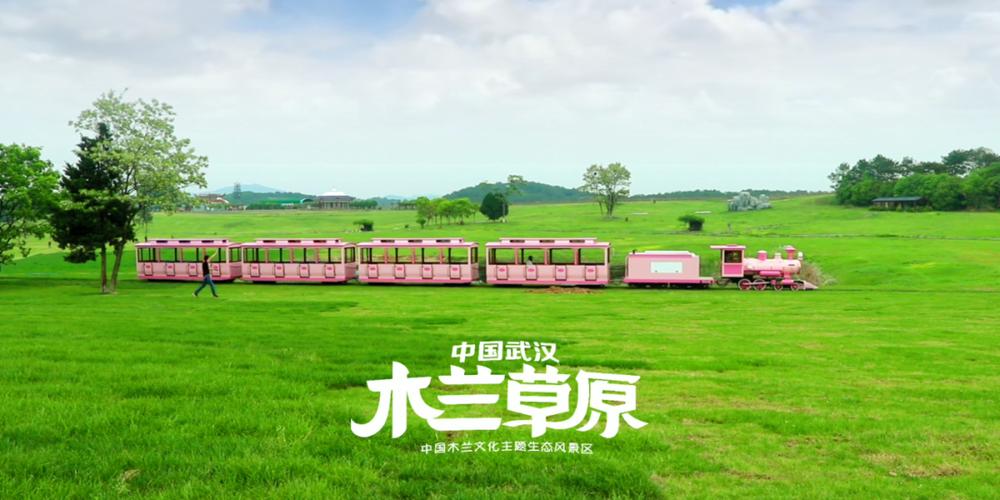 黄陂木兰草原65岁以上要门票吗?木兰草原停车场怎收费-图3 黄陂木兰草原65岁以上要门票吗?木兰草原停车场怎收费-图3