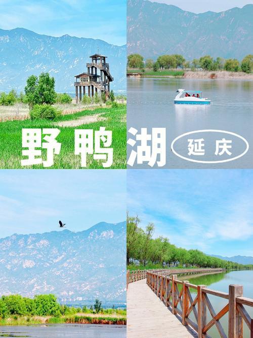 延庆野鸭湖门票老年卡收费吗?北京野鸭湖钓鱼收费吗-图2 延庆野鸭湖门票老年卡收费吗?北京野鸭湖钓鱼收费吗-图2