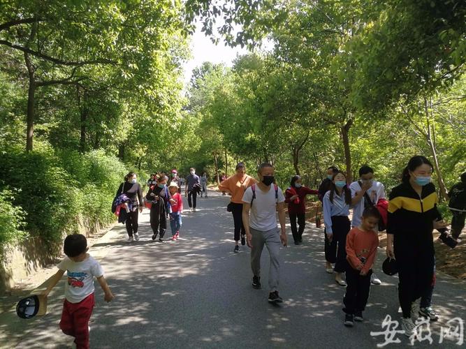 大蜀山森林公园开车能到山顶吗?2017大蜀山停车收费吗-图2 大蜀山森林公园开车能到山顶吗?2017大蜀山停车收费吗-图2