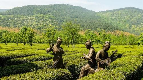 越溪好玩的地方推荐？旺山景区怎么收费-图2