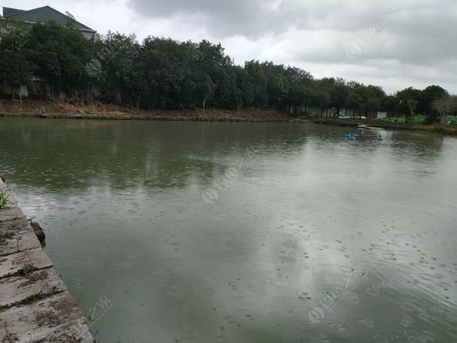 杭州能钓鱼的河?英公水库钓鱼怎么收费吗-图3 杭州能钓鱼的河?英公水库钓鱼怎么收费吗-图3