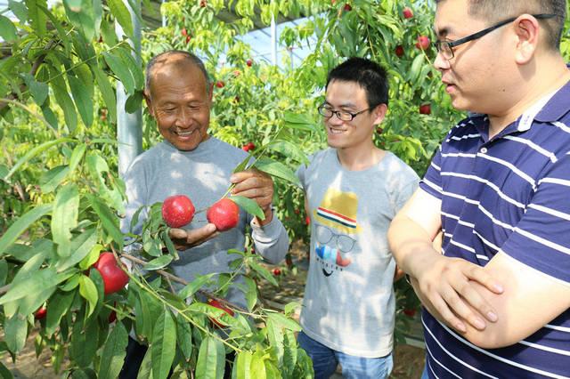 禹城采摘园有哪些地方?禹城花果山收费吗-图2 禹城采摘园有哪些地方?禹城花果山收费吗-图2