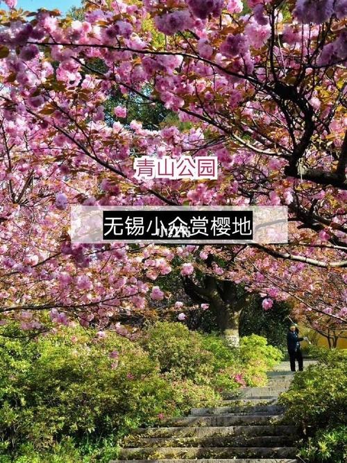 无锡青山公园开放时间?无锡青山公园收费吗-图2 无锡青山公园开放时间?无锡青山公园收费吗-图2