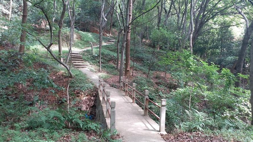无锡青山公园开放时间?无锡青山公园收费吗-图3 无锡青山公园开放时间?无锡青山公园收费吗-图3