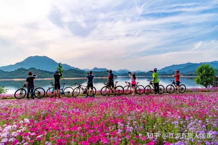 千岛湖环湖骑行需要门票吗?五一新安江收费站关闭-图3 千岛湖环湖骑行需要门票吗?五一新安江收费站关闭-图3